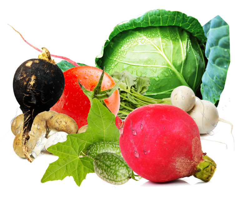 getfreshfoodservices